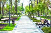 Власти сообщили, какие работы сделают в парках