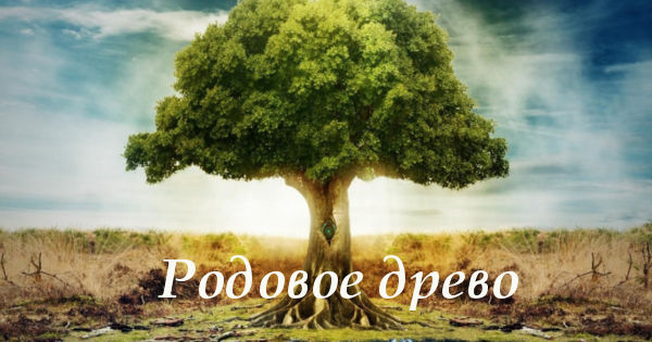 Хотите узнать историю своего рода?